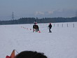 Skijöring 2006