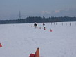 Skijöring 2006