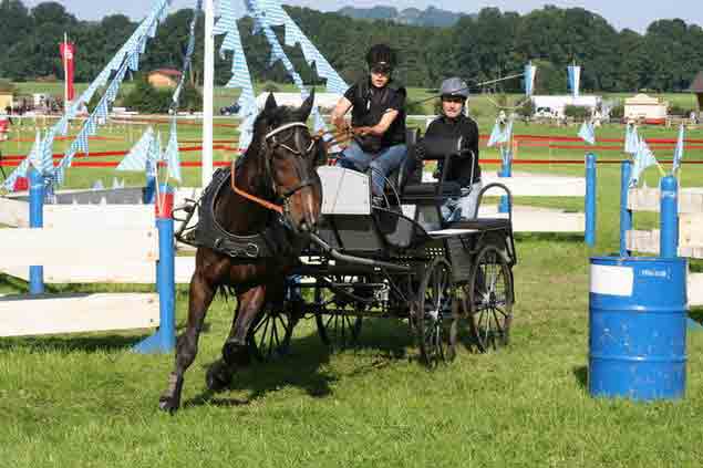 BM Bad Feilnbach 2007